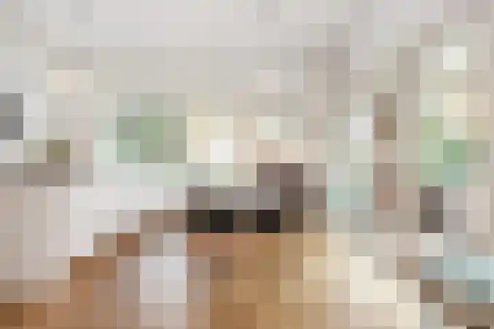 Van Hogenhoucklaan 40 Den Haag thumbnail 8