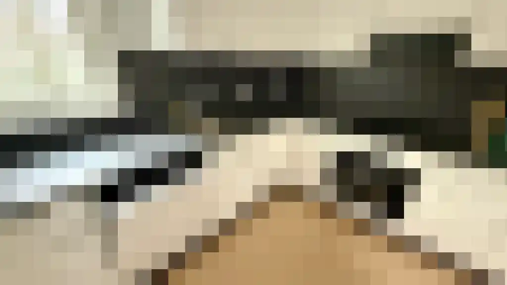 Van Hogenhoucklaan 41 Den Haag thumbnail 5