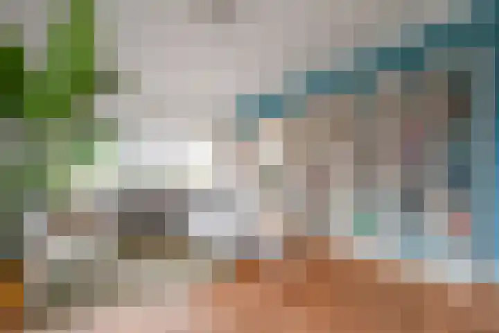 Van Hogenhoucklaan 50 Den Haag thumbnail 13