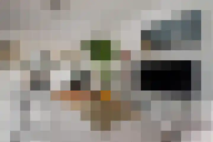 Van Hogenhoucklaan 50 Den Haag thumbnail 14