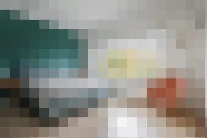 Van Hogenhoucklaan 50 Den Haag thumbnail 23