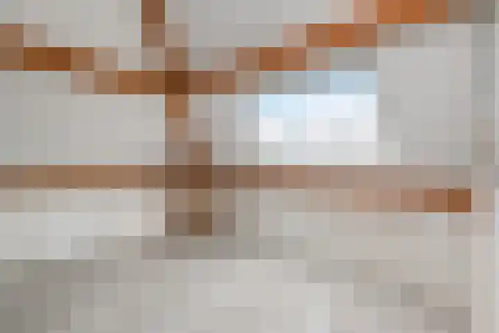 Van Hogenhoucklaan 50 Den Haag thumbnail 31