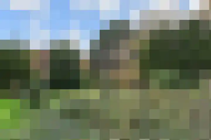 Van Hogenhoucklaan 50 Den Haag thumbnail 34