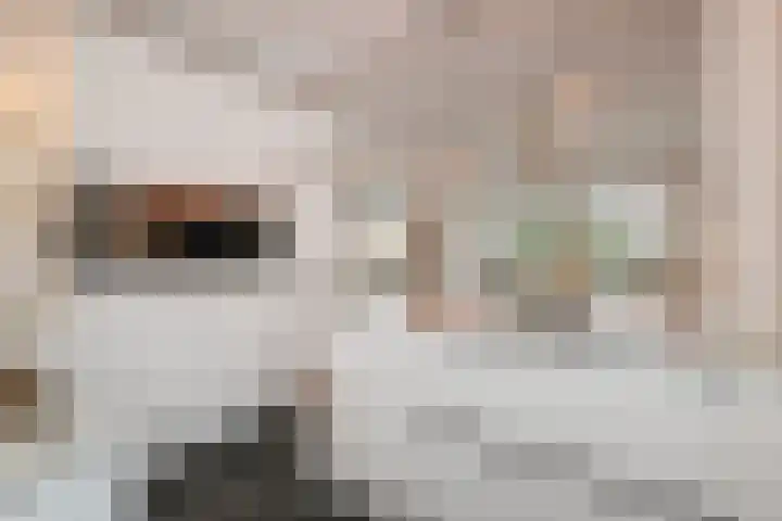 Van Hogenhoucklaan 50 Den Haag thumbnail 4