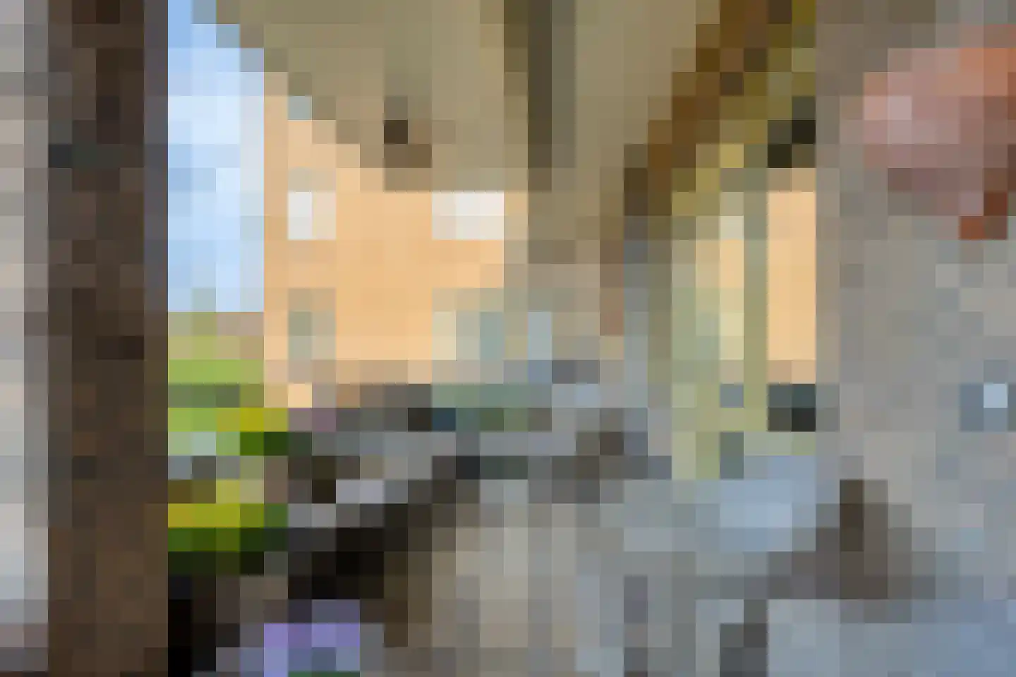 Van Hogenhoucklaan 60 B Den Haag thumbnail 32
