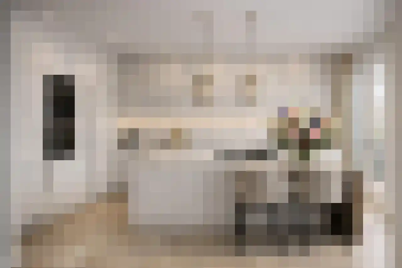 Van Hogenhoucklaan 60 D Den Haag thumbnail 14