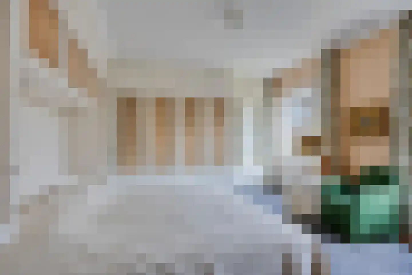 Van Hogenhoucklaan 60 D Den Haag thumbnail 20