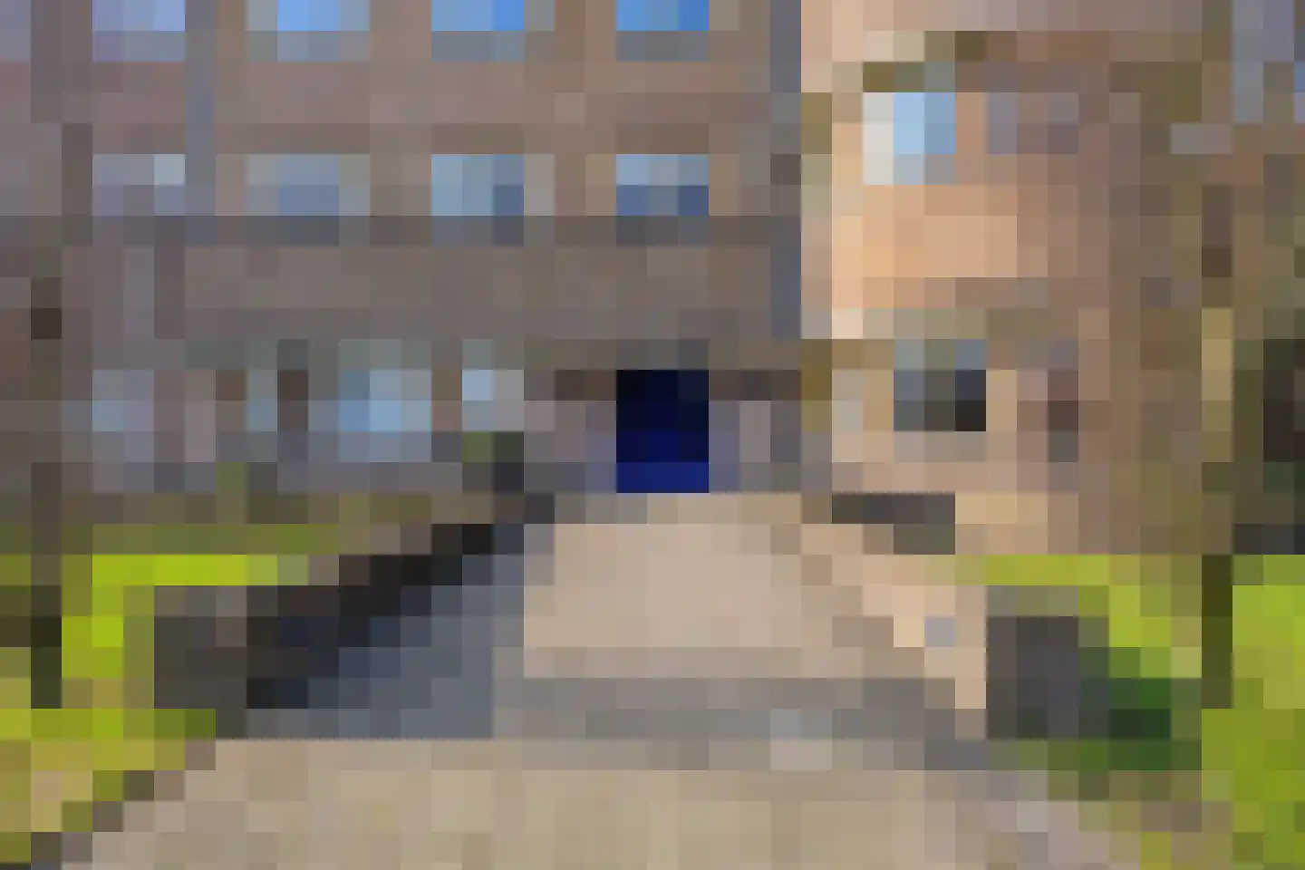 Van Hogenhoucklaan 60 D Den Haag thumbnail 26