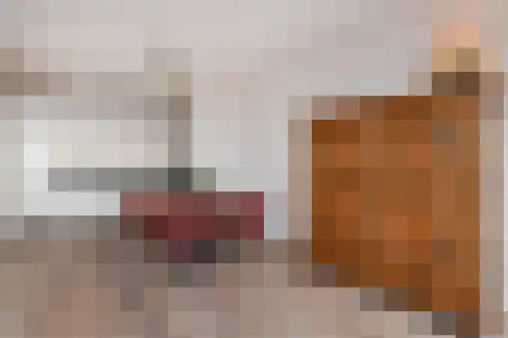 Van Hogenhoucklaan 95 M Den Haag thumbnail 13