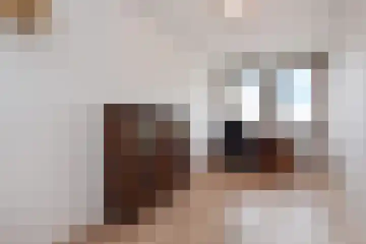 Van Hogenhoucklaan 95 M Den Haag thumbnail 29