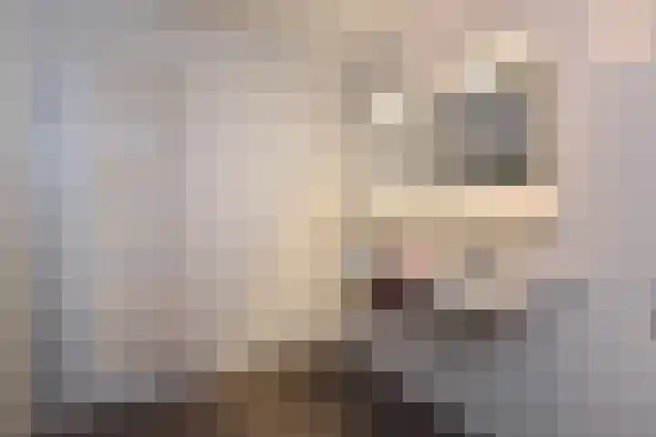 Van Hogenhoucklaan 95 M Den Haag thumbnail 32