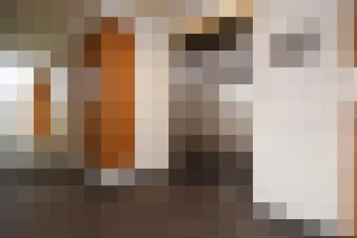 Van Hogenhoucklaan 95 M Den Haag thumbnail 5
