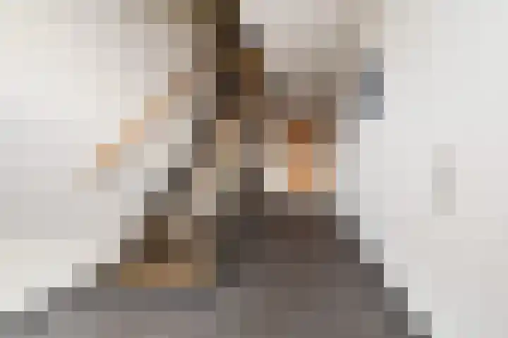 Van Hogenhoucklaan 95 M Den Haag thumbnail 6