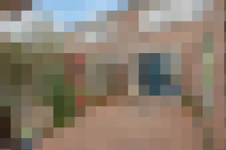 Van Holtenserf 17 Holten thumbnail 14