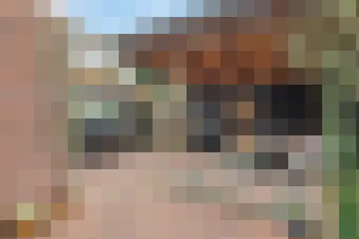 Van Holtenserf 17 Holten thumbnail 15