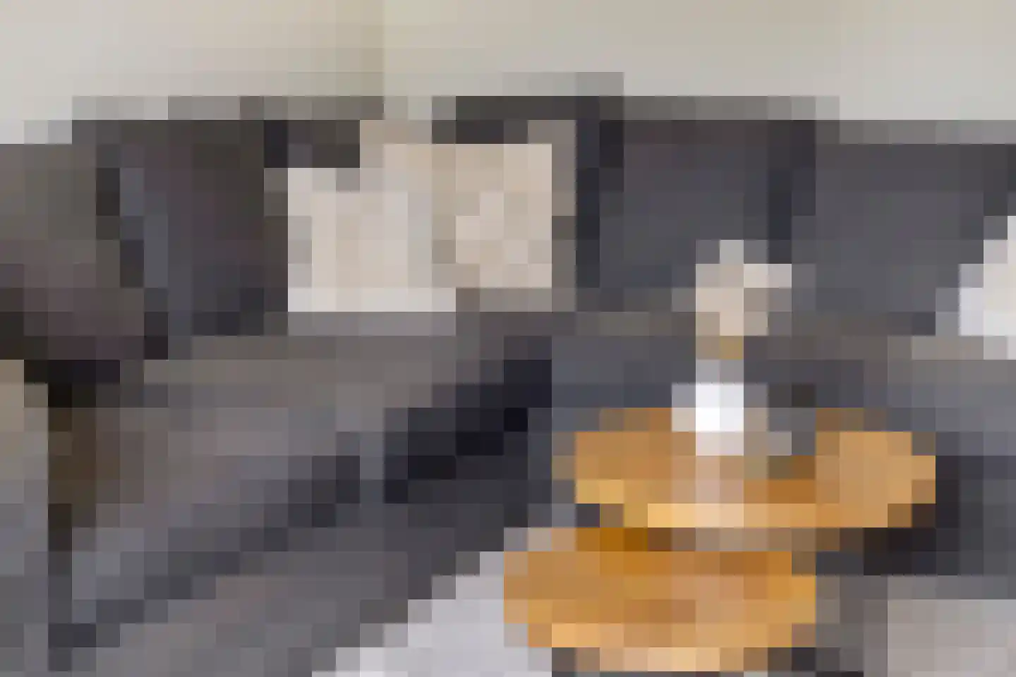 van Homoetstraat 15 Terborg thumbnail 10