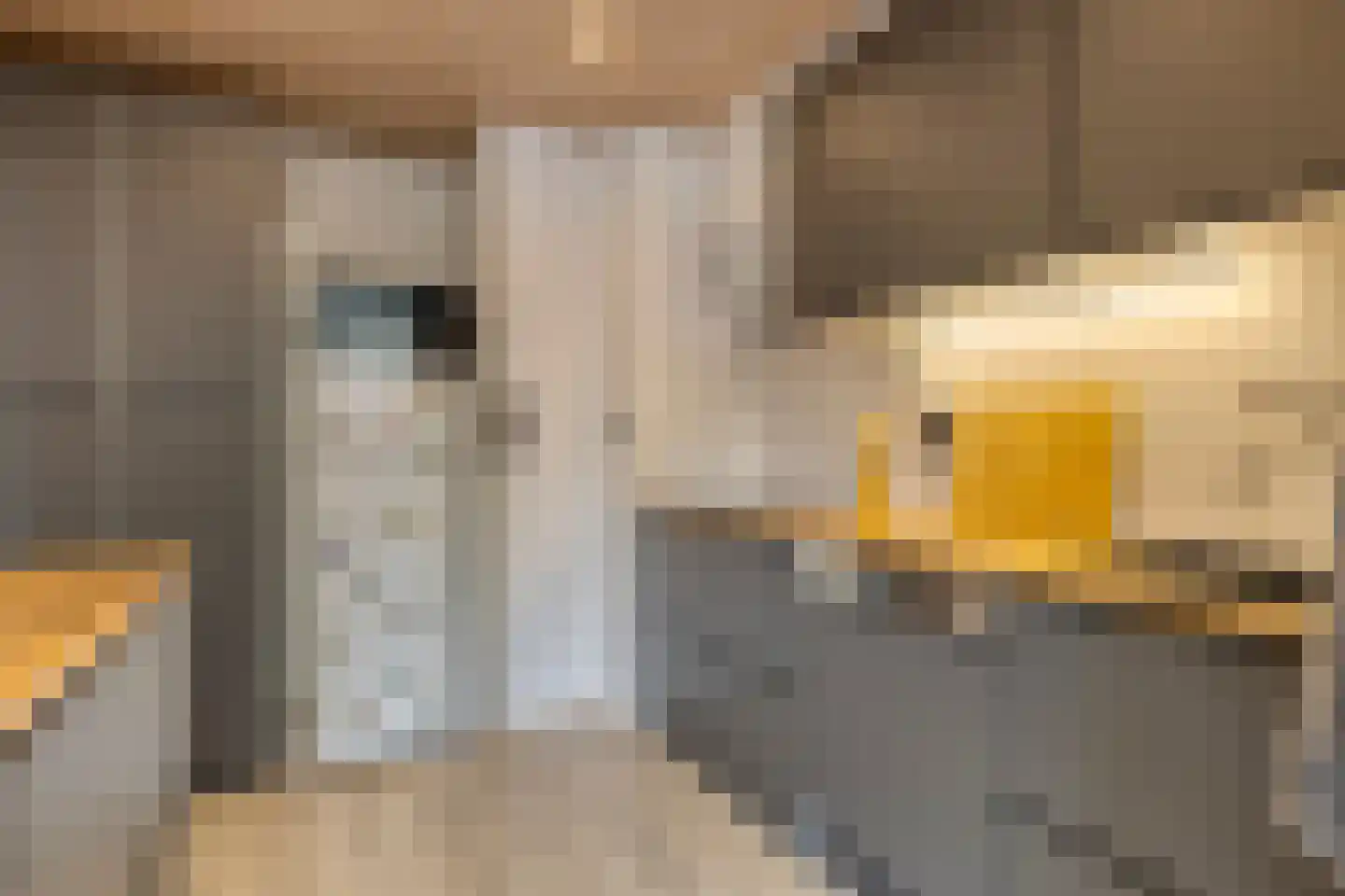 van Homoetstraat 15 Terborg thumbnail 11