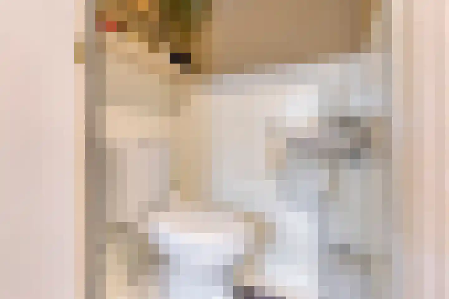 van Homoetstraat 15 Terborg thumbnail 14