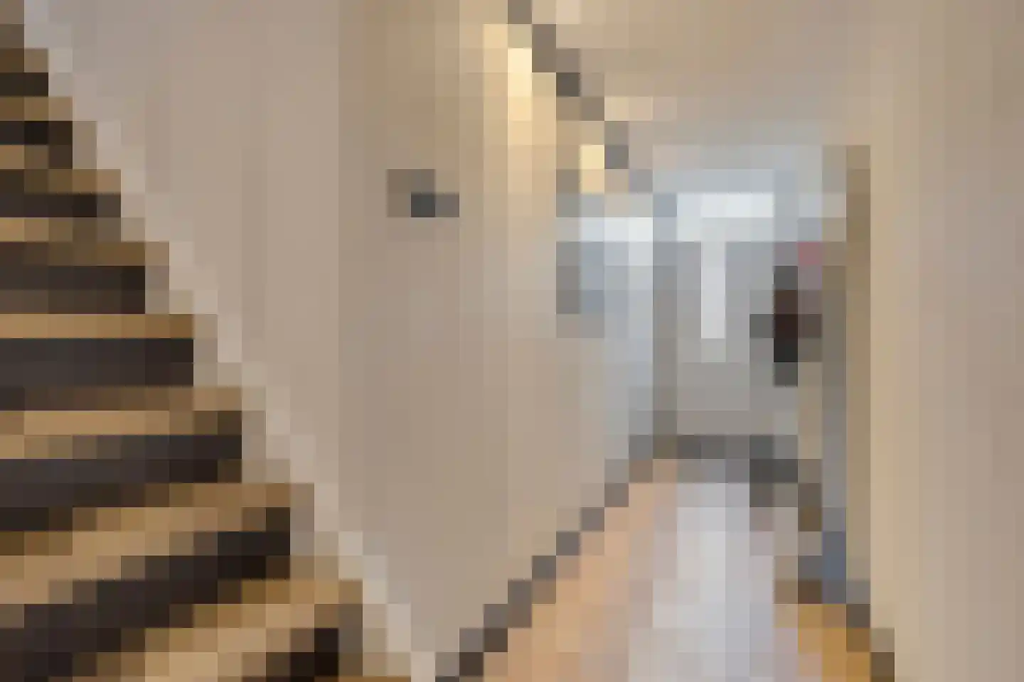 van Homoetstraat 15 Terborg thumbnail 15