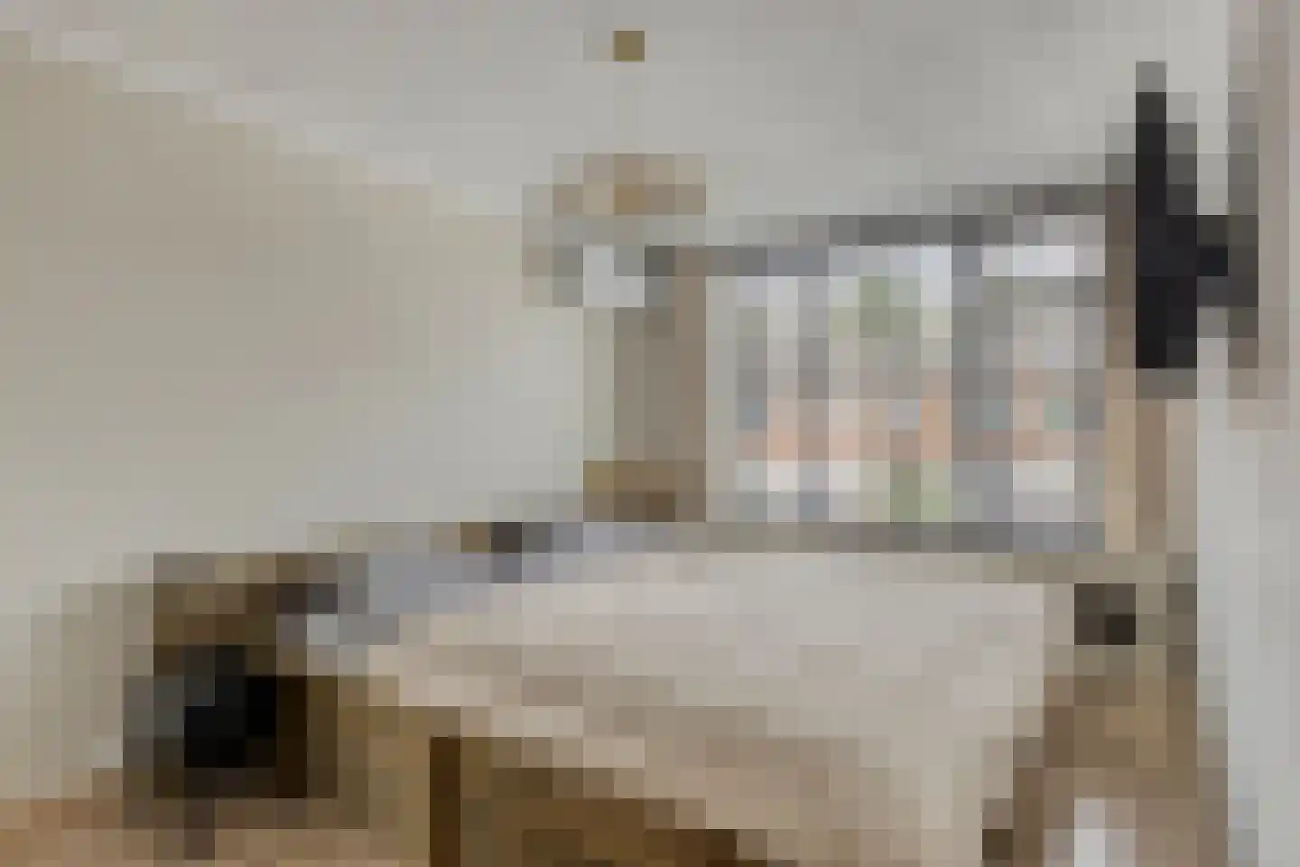 van Homoetstraat 15 Terborg thumbnail 16