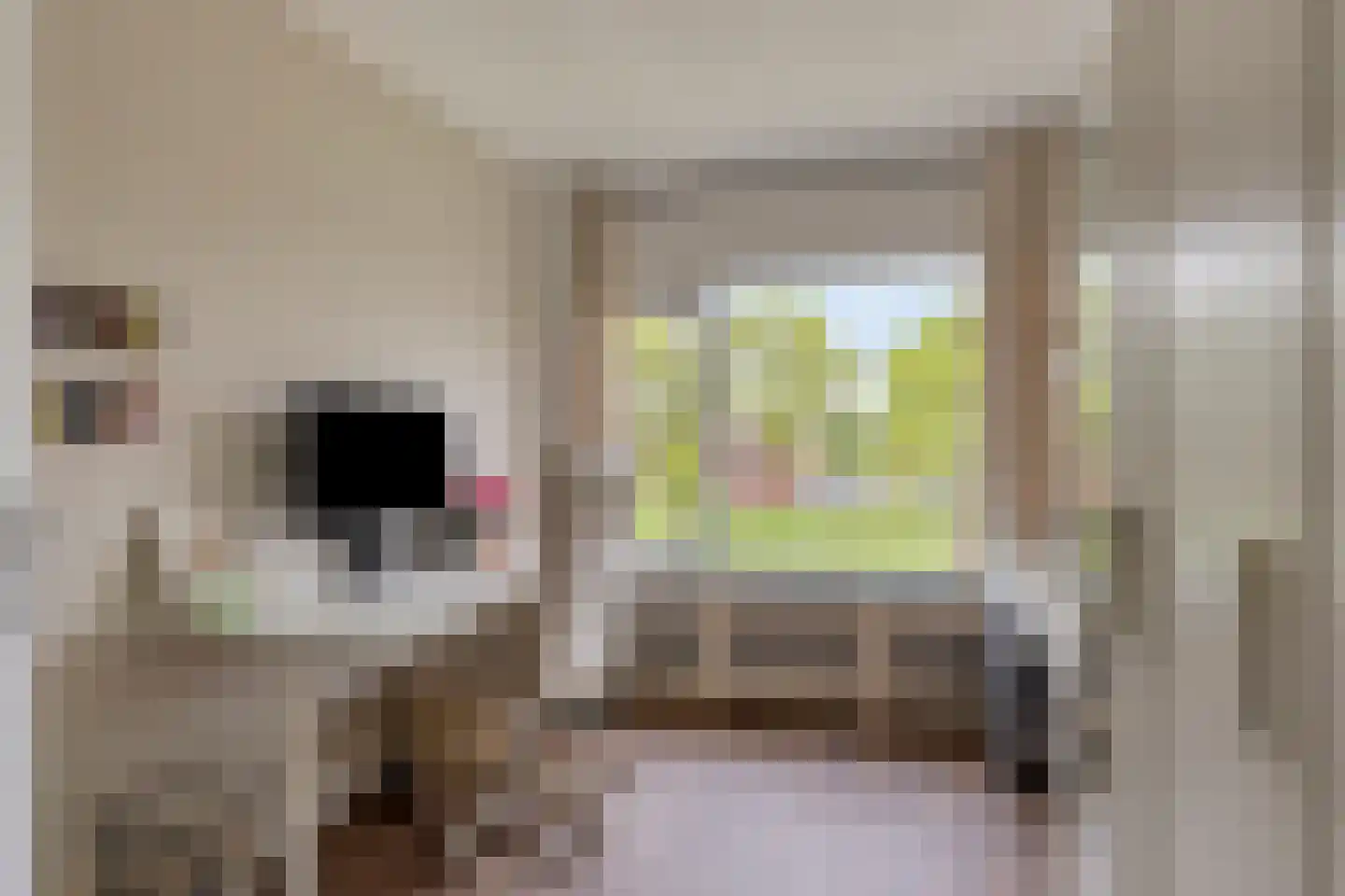 van Homoetstraat 15 Terborg thumbnail 18