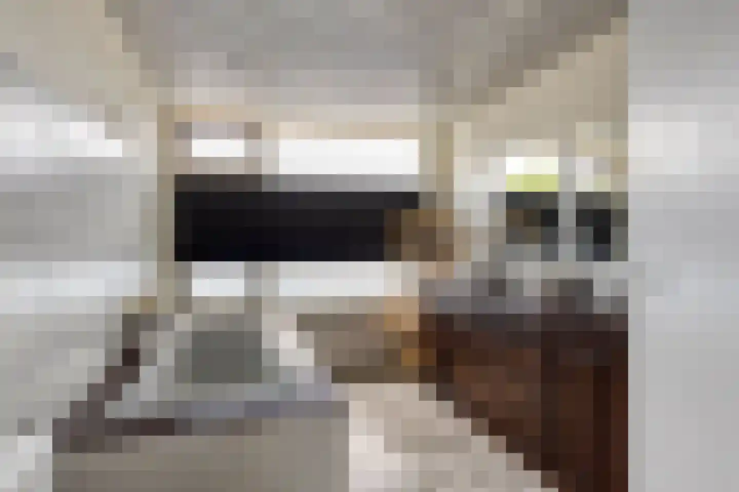 van Homoetstraat 15 Terborg thumbnail 23