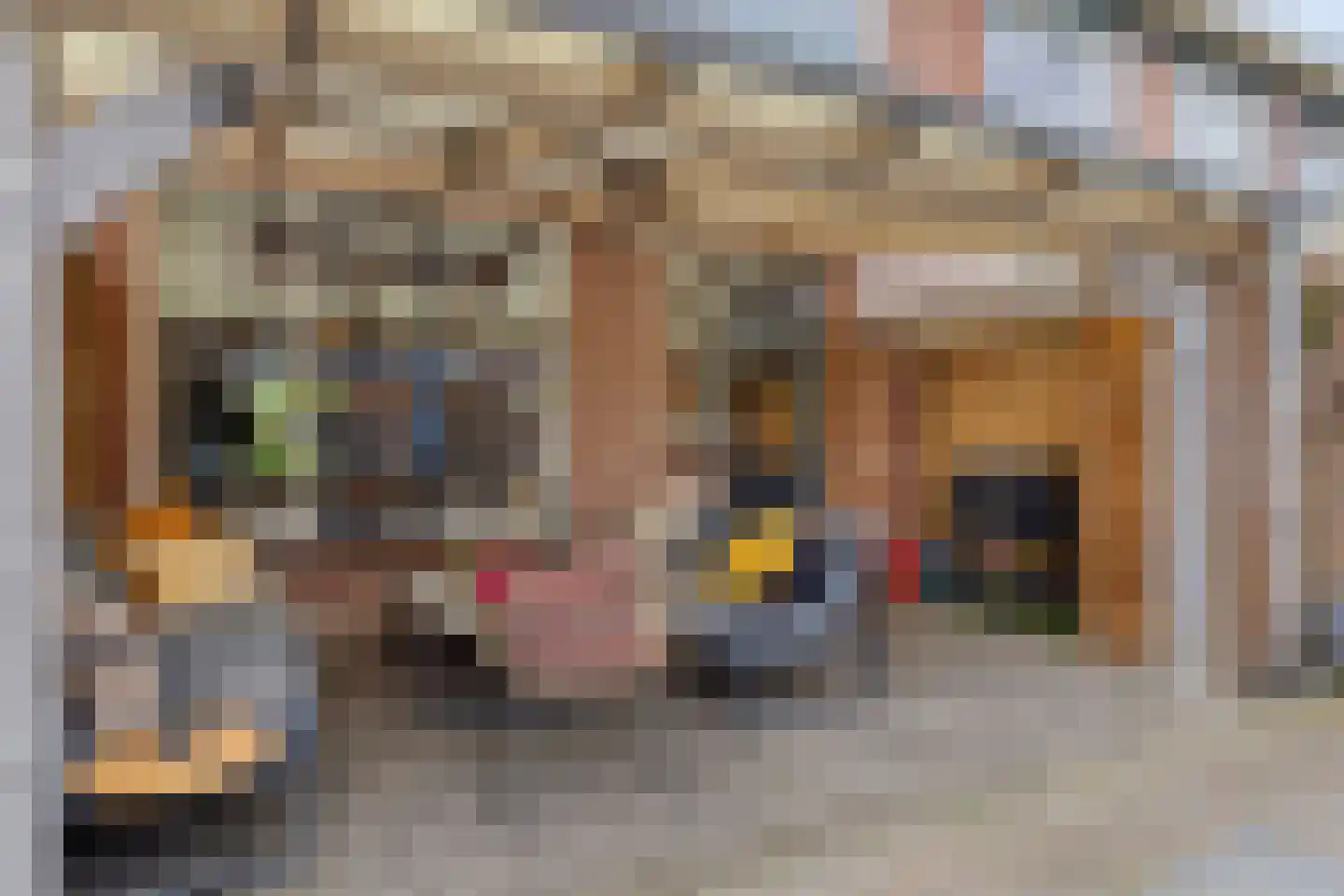 van Homoetstraat 15 Terborg thumbnail 25