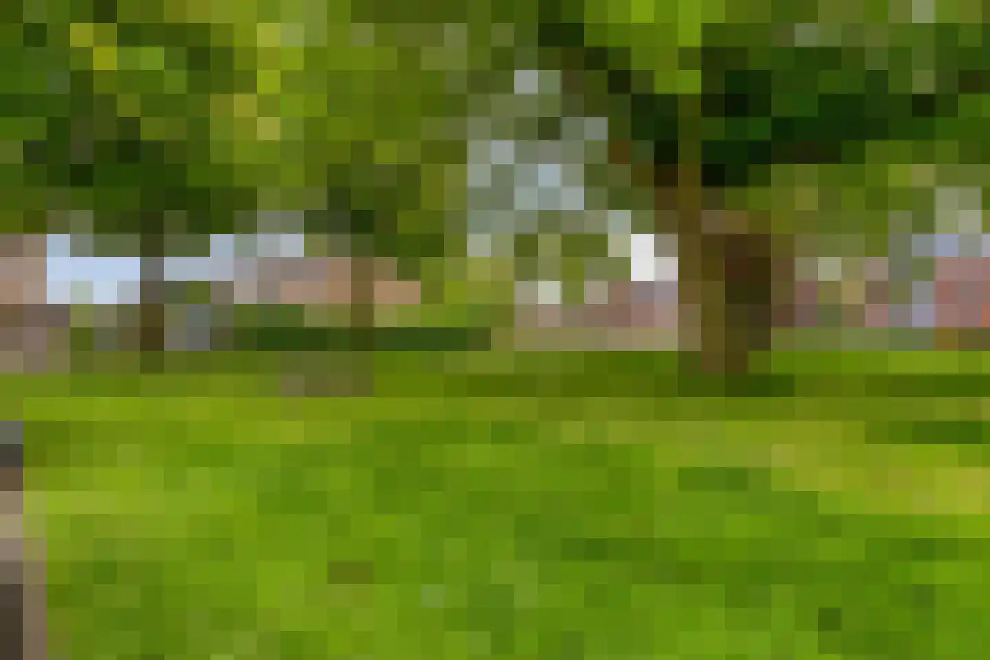 van Homoetstraat 15 Terborg thumbnail 31