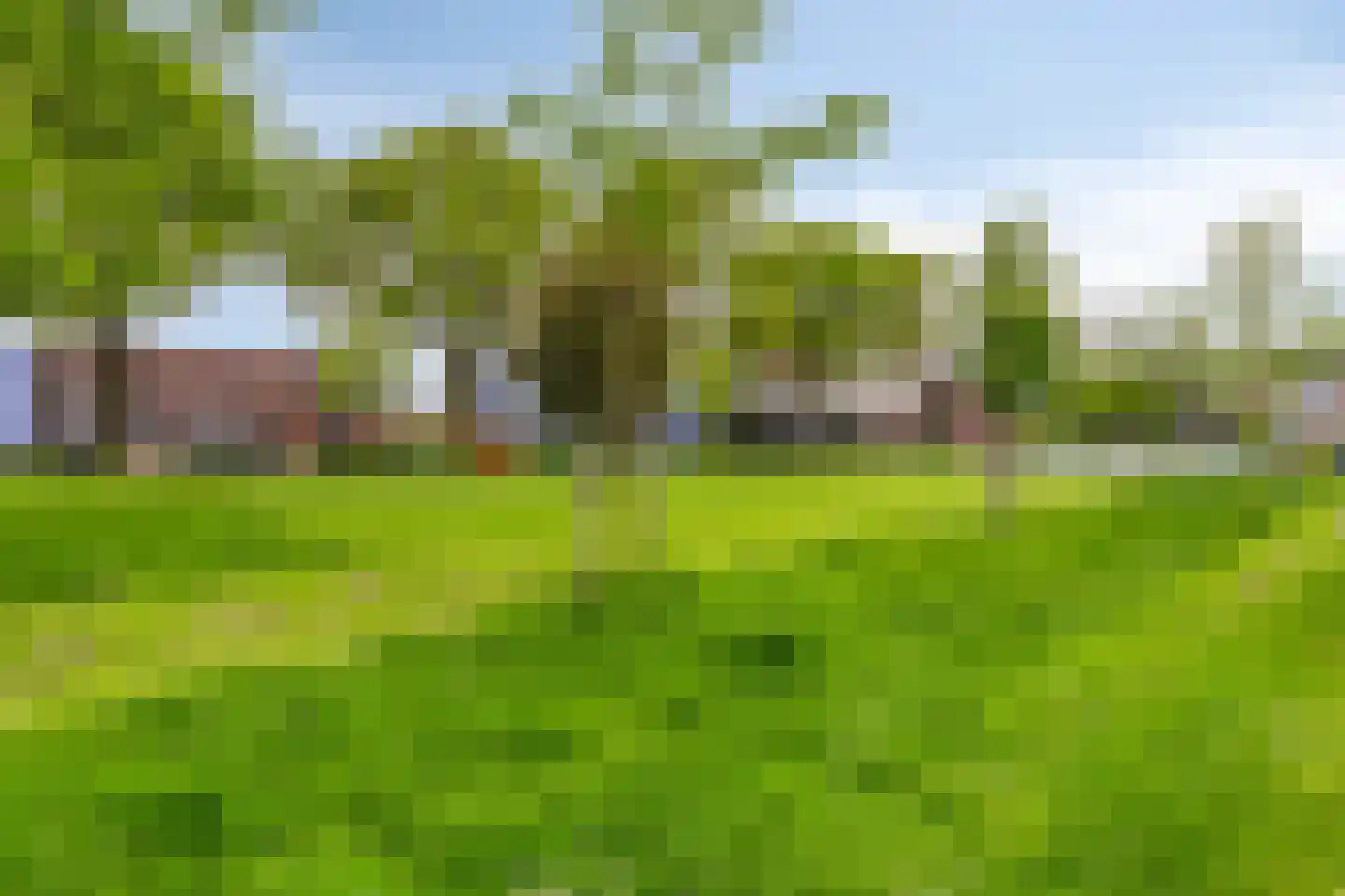 van Homoetstraat 15 Terborg thumbnail 32