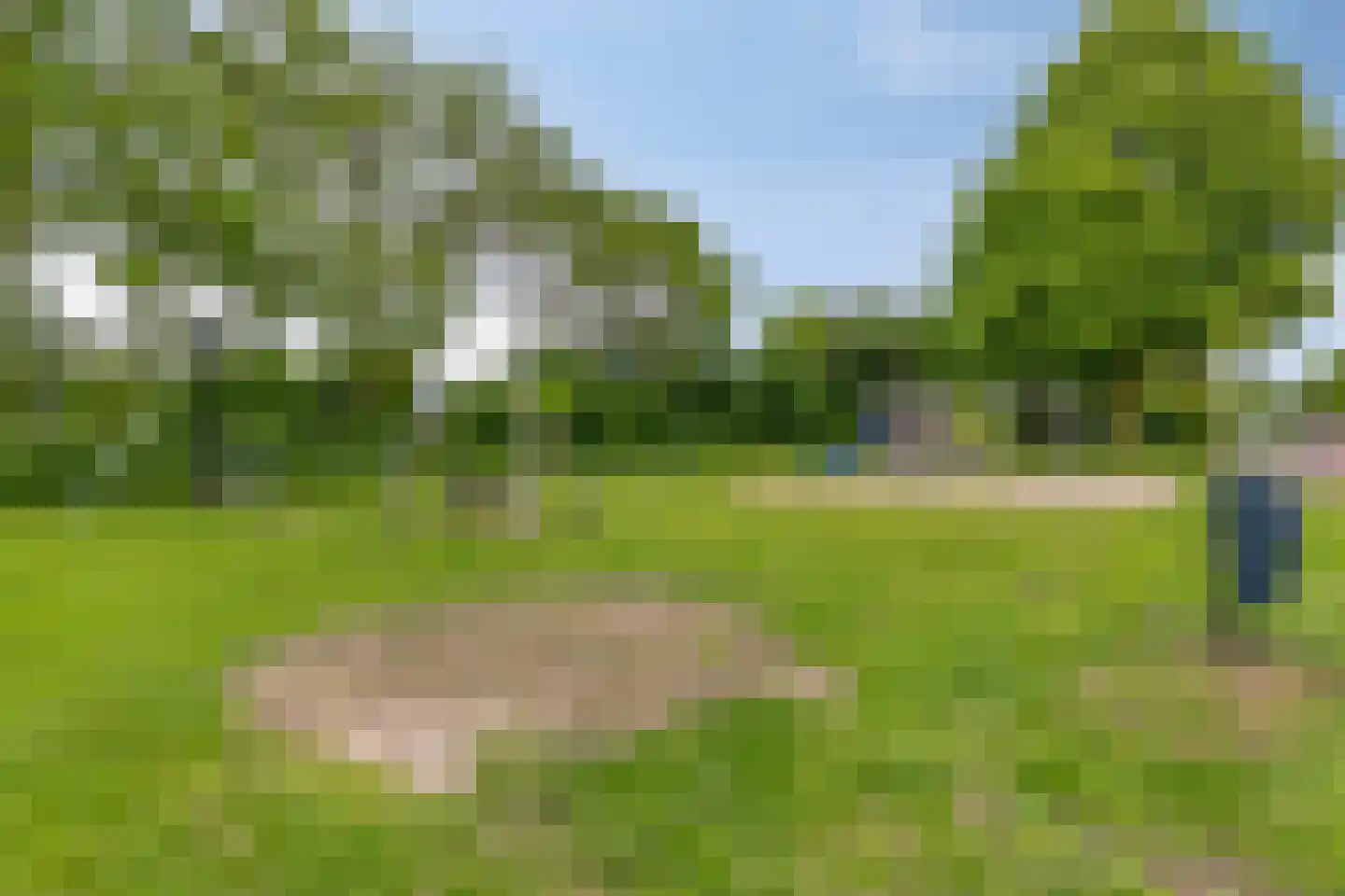 van Homoetstraat 15 Terborg thumbnail 34