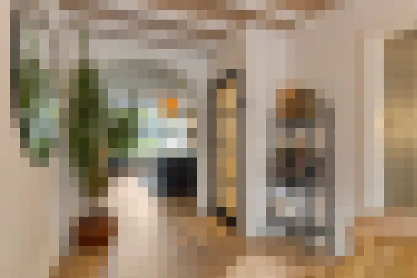 van Homoetstraat 15 Terborg thumbnail 4