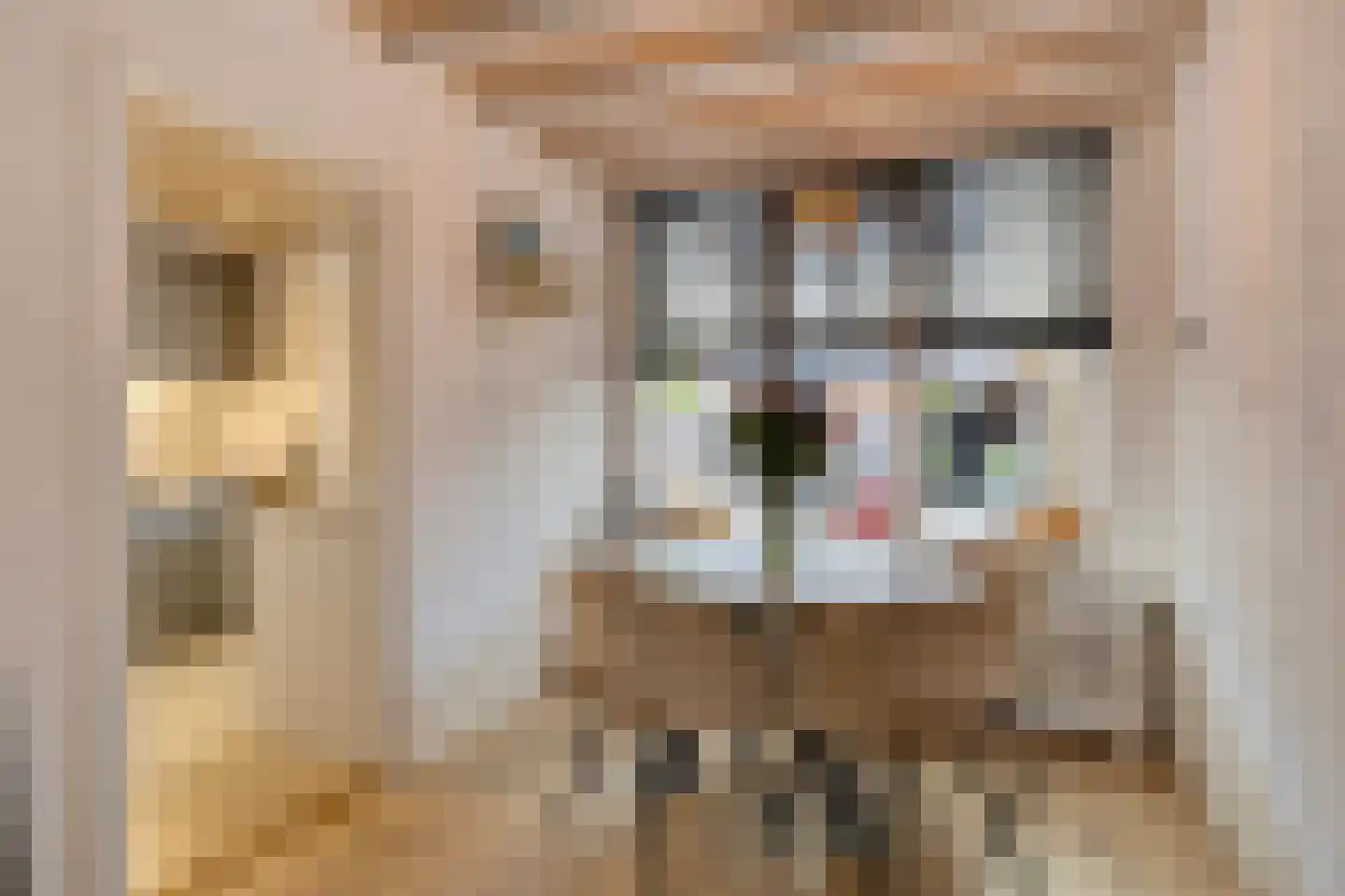 van Homoetstraat 15 Terborg thumbnail 5