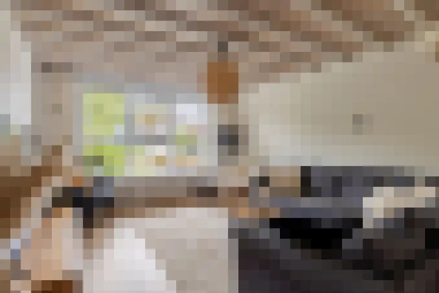 van Homoetstraat 15 Terborg thumbnail 6