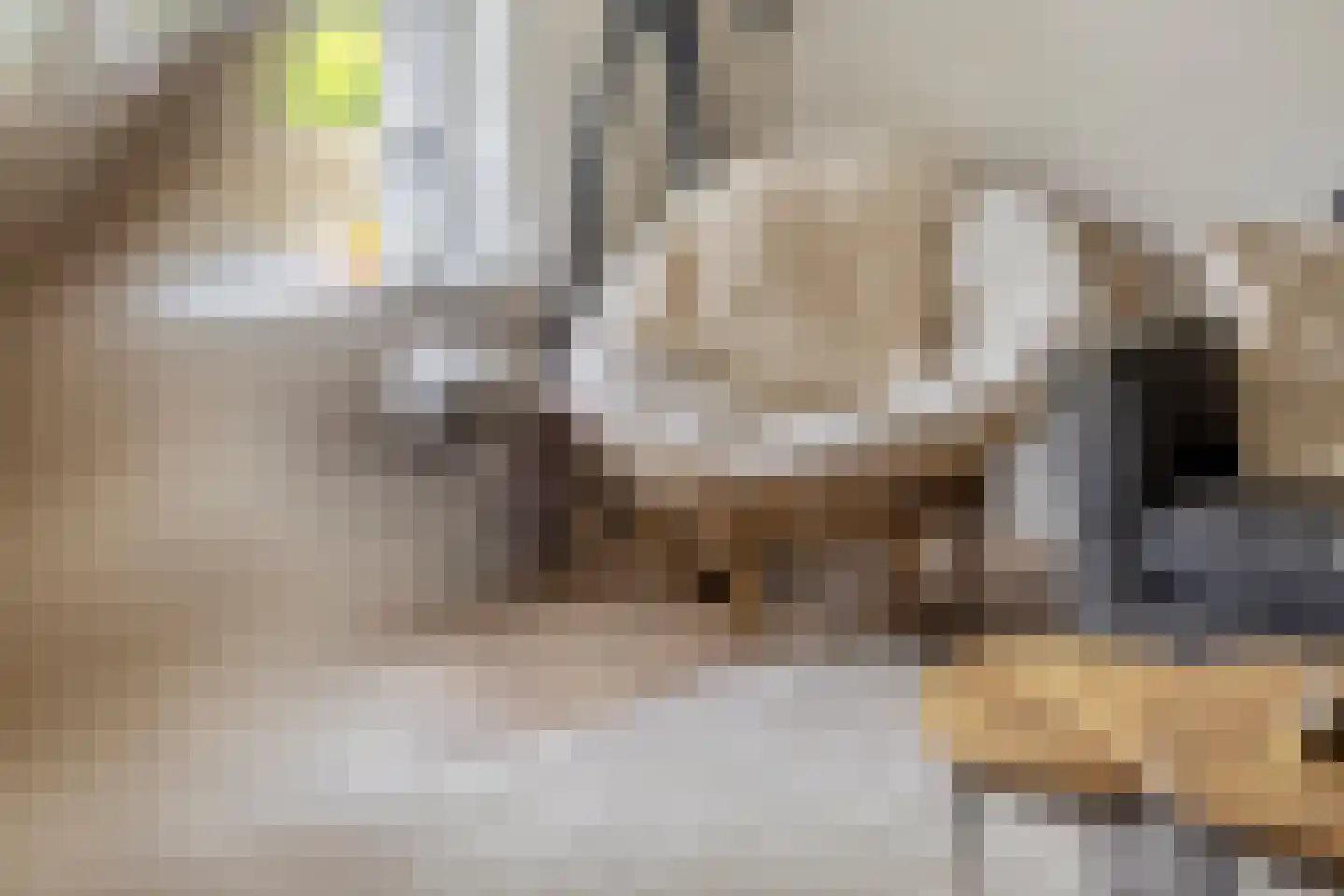 van Homoetstraat 15 Terborg thumbnail 8