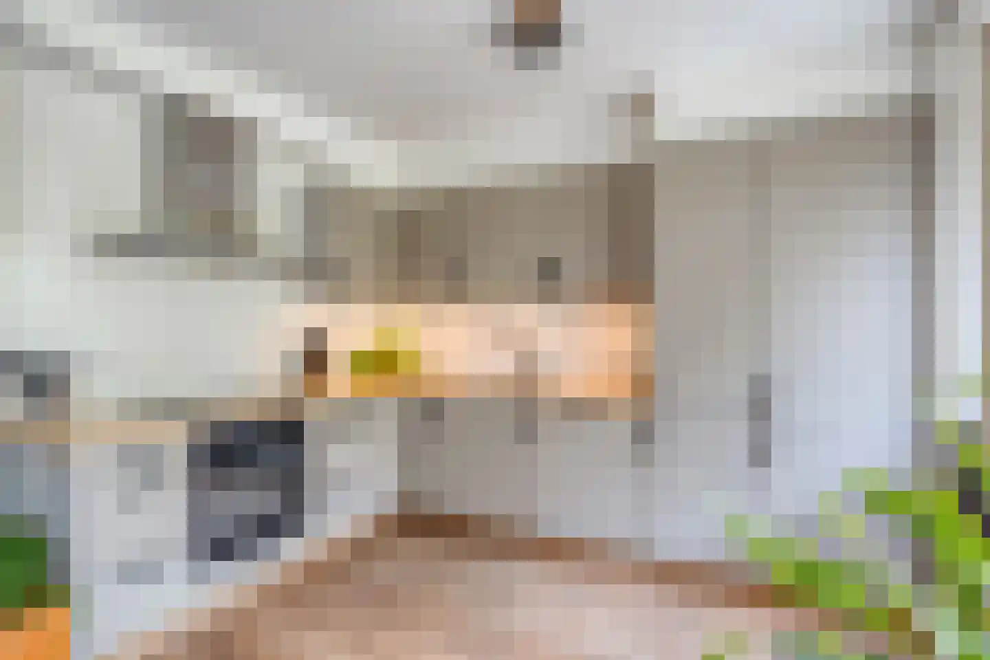 Van Hoockerkenstraat 15 Castricum thumbnail 12