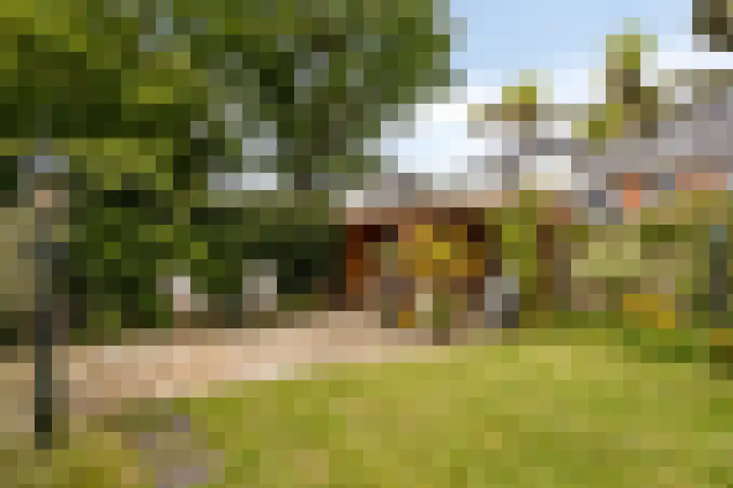 Van Hoockerkenstraat 15 Castricum thumbnail 17