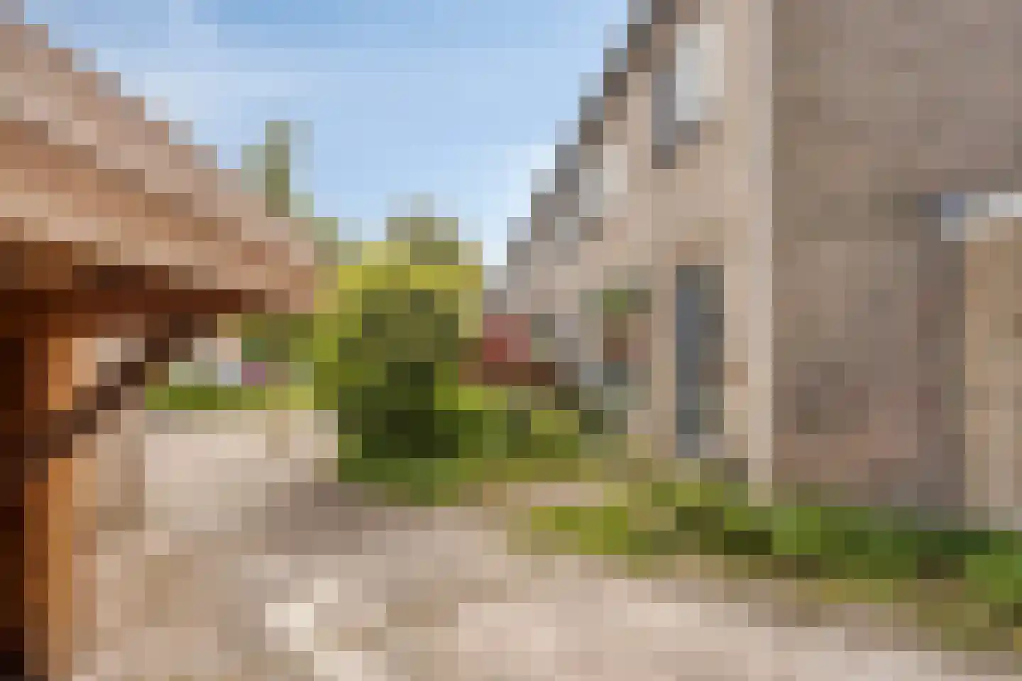 Van Hoockerkenstraat 15 Castricum thumbnail 46