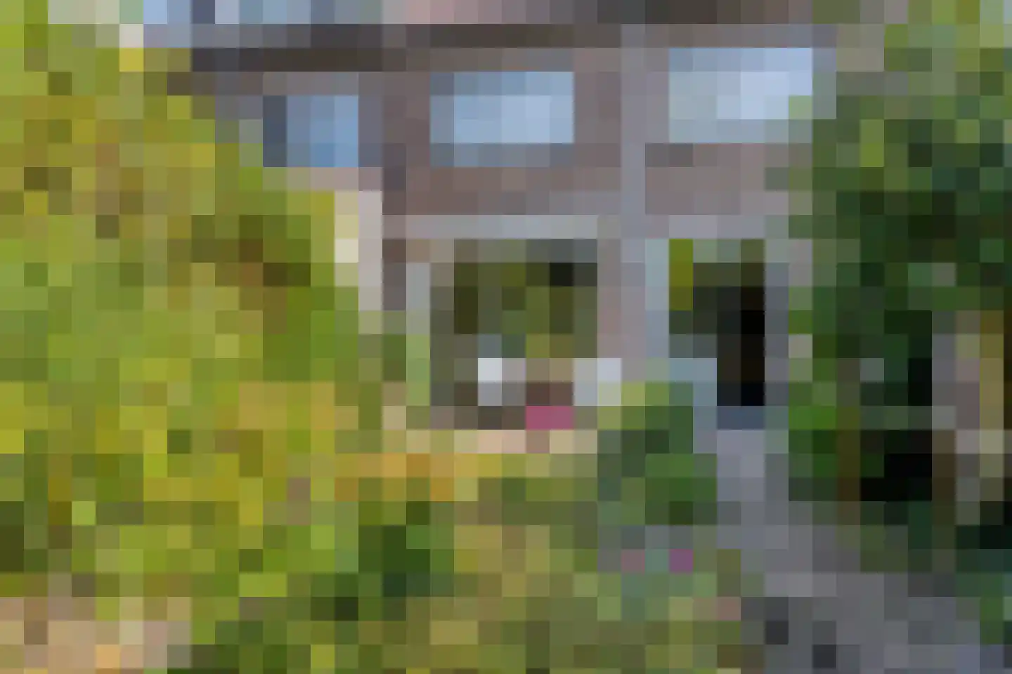 Van Hoockerkenstraat 3 Castricum thumbnail 17