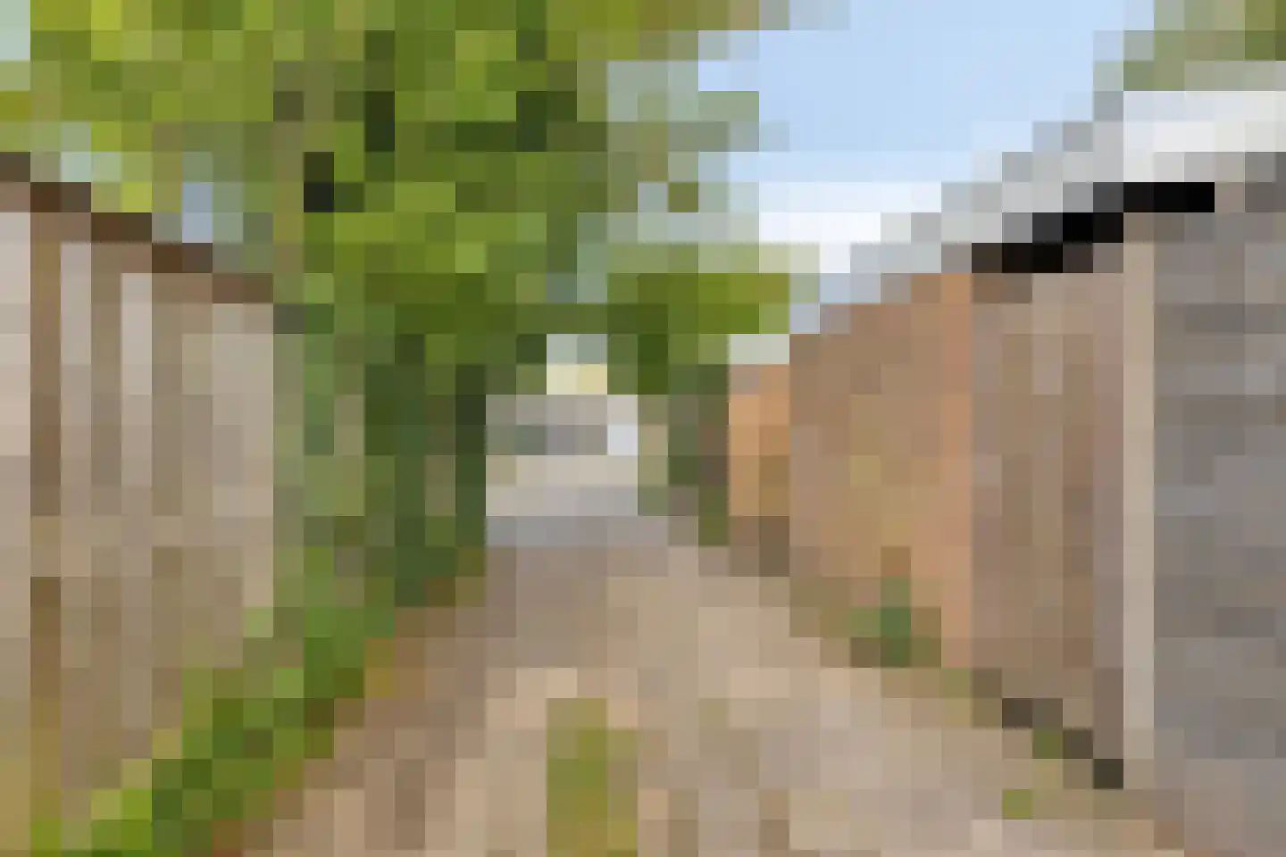 Van Hoockerkenstraat 3 Castricum thumbnail 25