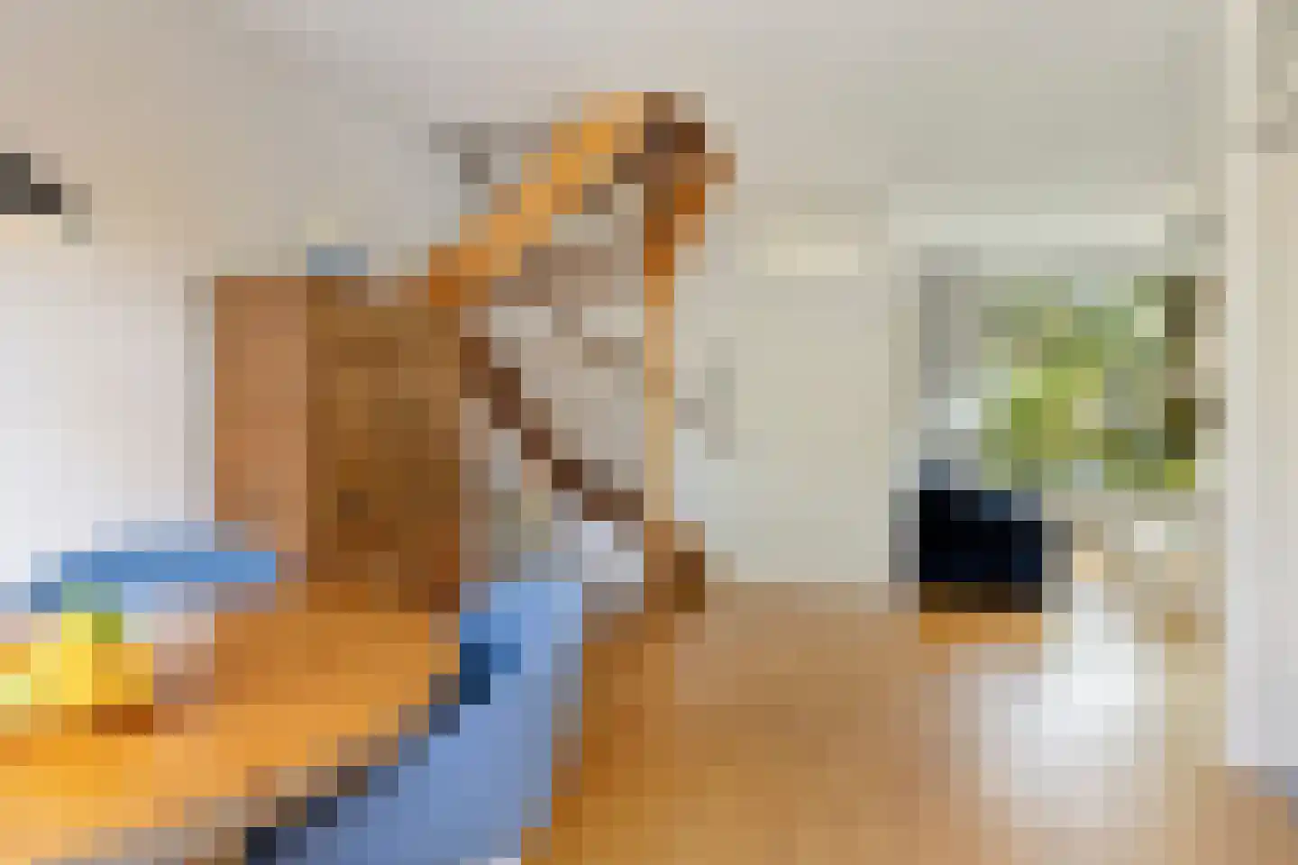 Van Hoockerkenstraat 3 Castricum thumbnail 9