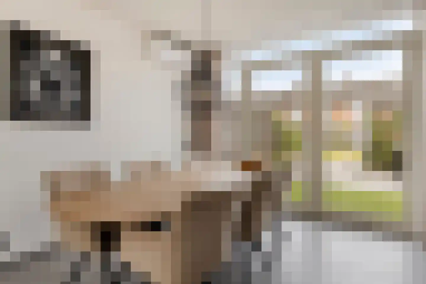Van Hoogstratenweg 10 Ravenstein thumbnail 16