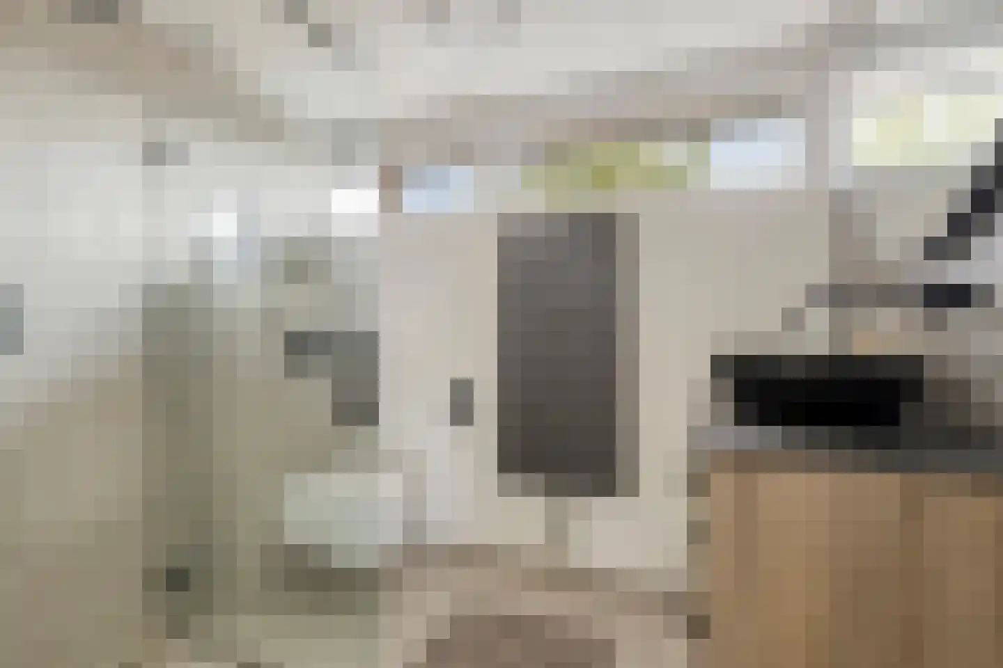 Van Hoogstratenweg 10 Ravenstein thumbnail 4