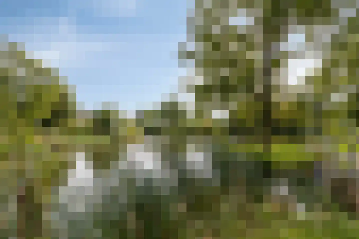 Van Hoogstratenweg 10 Ravenstein thumbnail 49