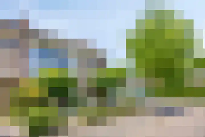 Van Hoogstratenweg 2 Ravenstein thumbnail 24