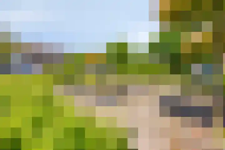 Van Hoogstratenweg 2 Ravenstein thumbnail 26