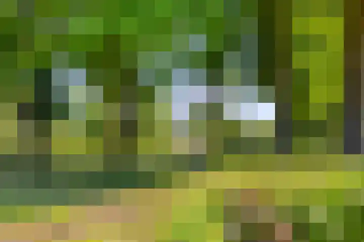 Van Hoogstratenweg 2 Ravenstein thumbnail 27