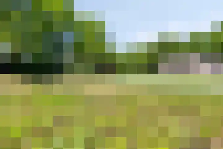 Van Hoogstratenweg 2 Ravenstein thumbnail 28