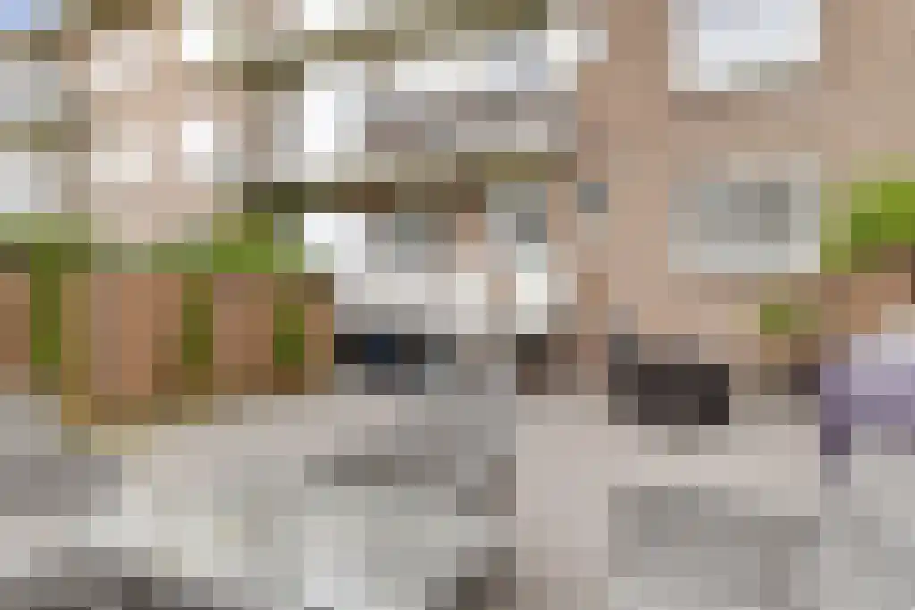 Van Hoornbeekstraat 24 Den Haag thumbnail 5