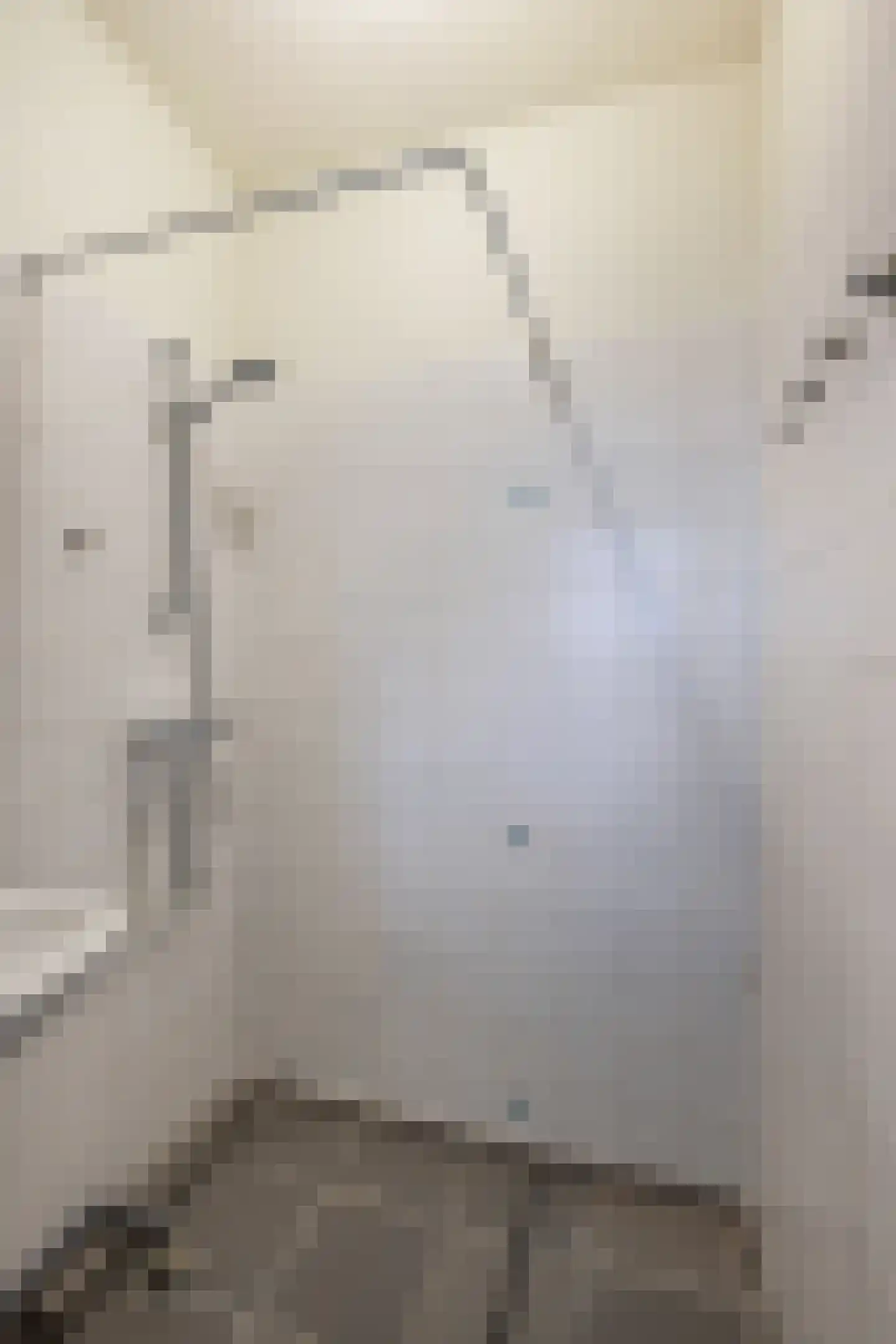 van Hoornbeekstraat 3 D Vlaardingen thumbnail 21