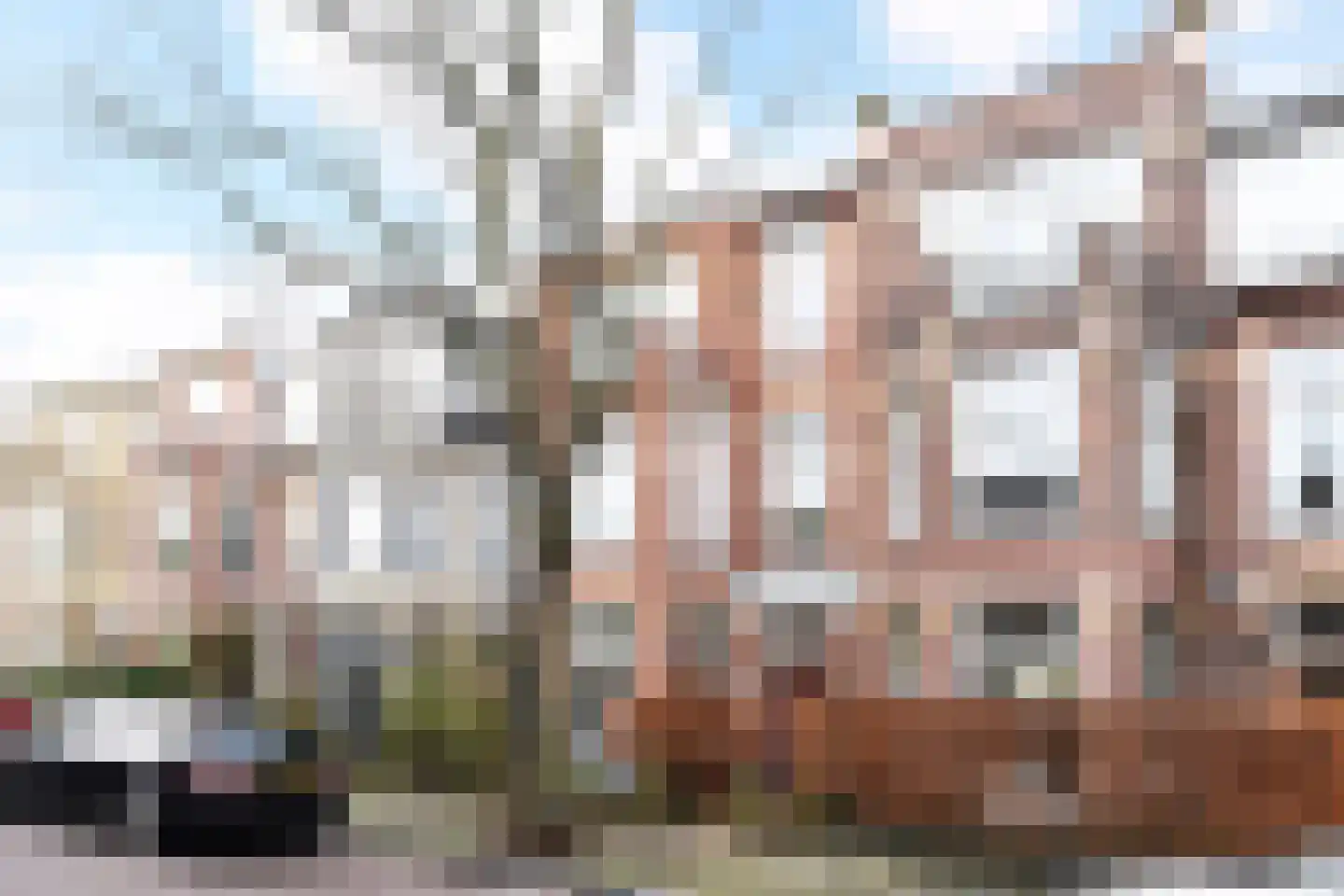 Van Hoornbeekstraat 33 Den Haag